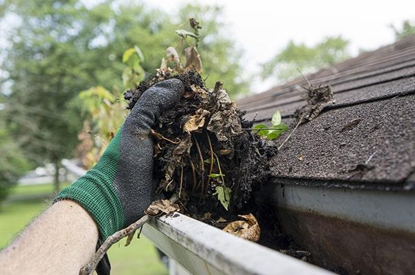 a typical gutter cleaning appointment usually takes between 1-2 hours, depending on the size of the property